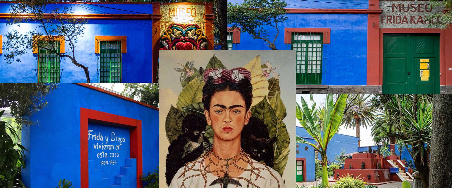 A Virtual Tour of the Frida Kahlo Museum in Mexico City