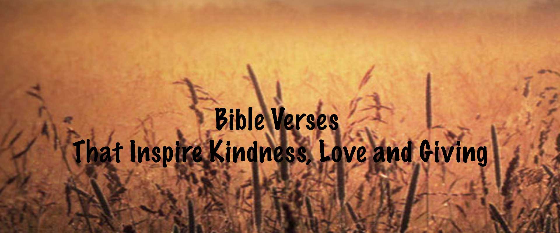Bible Verses That Inspire Kindness, Love and Giving to Transform Your Life