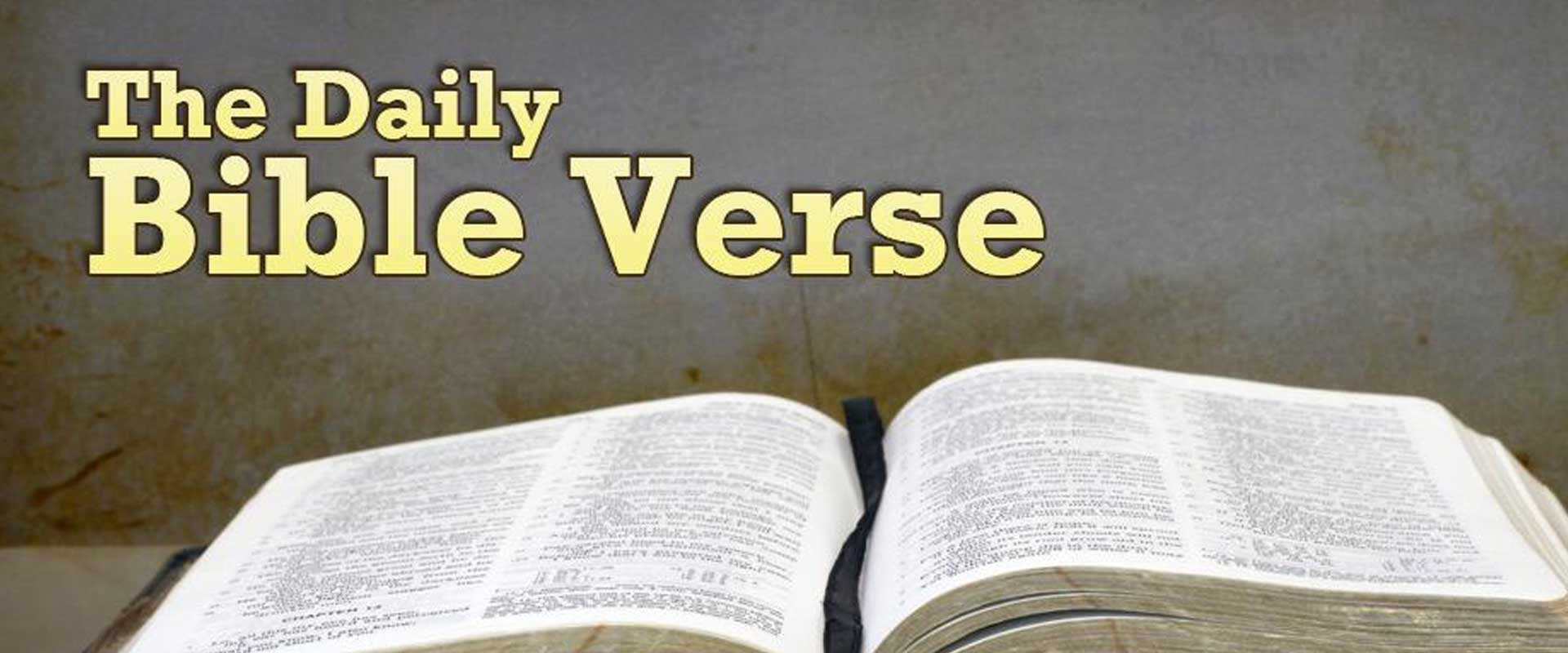 Daily Bible Verse for Strength, Faith and Encouragement to Uplift Your Spirit