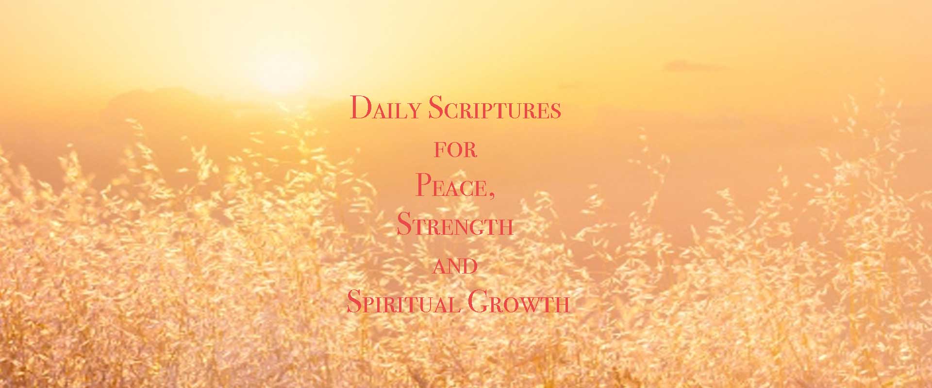 Daily Scriptures for Peace, Strength and Spiritual Growth in Every Season