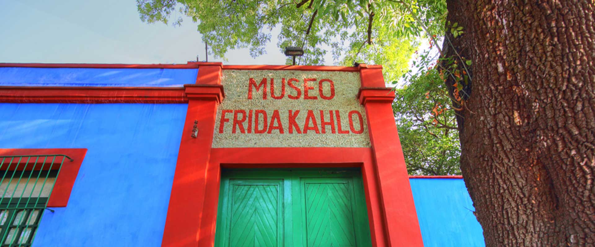 Frida Kahlo Museum Guide: What to See and What to Know