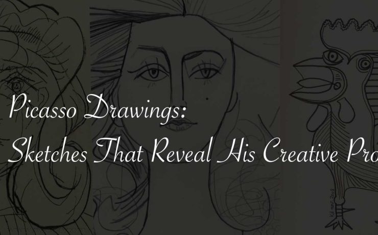 Picasso Drawings: Sketches That Reveal His Creative Process