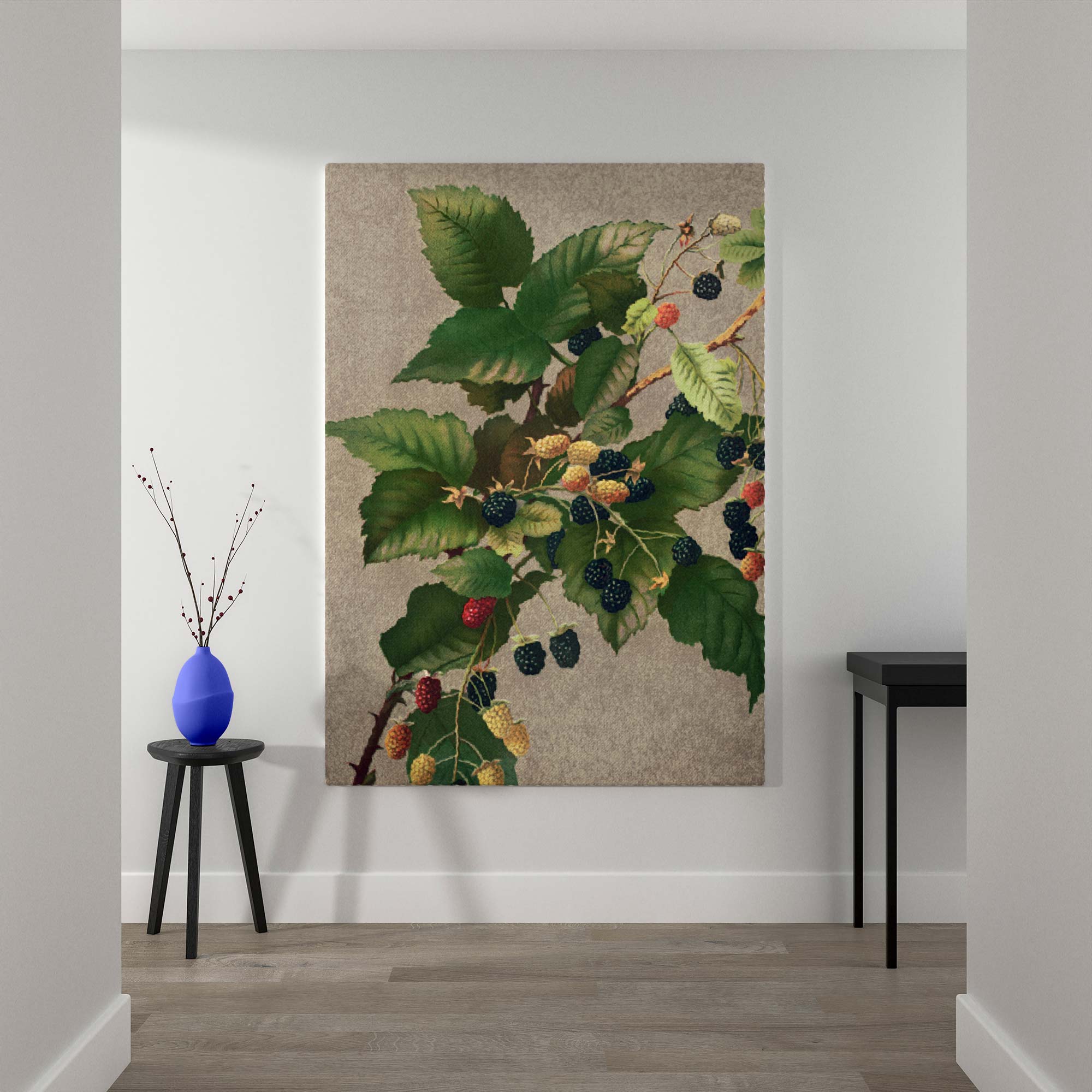 Blackberries - Ripe Botanical Berries Print By L. Prang & Co.