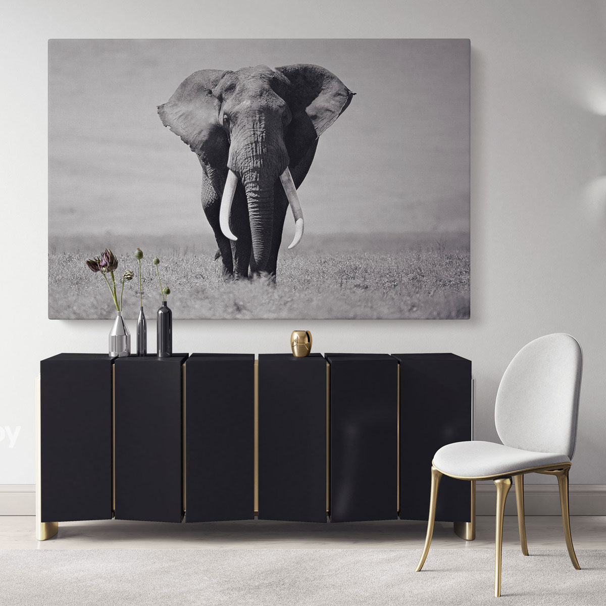 Black and White Elephants Photography Canvas Wall Art