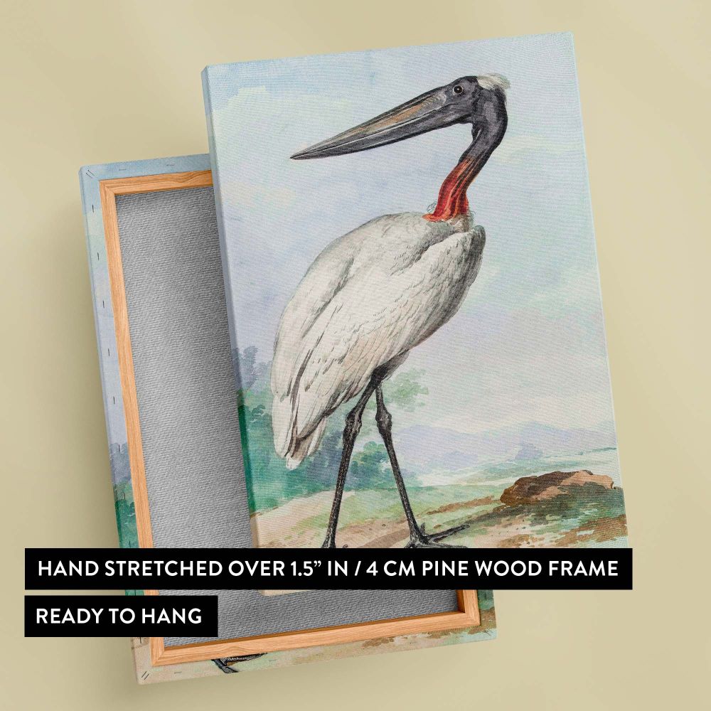 Jabiru (1770) by Aert Schouman captures a majestic stork with a striking red neck, long slender black beak, and meticulously detailed feathers, set against a watercolor landscape of soft sky gradients and rolling greenery in natural pastel hues.