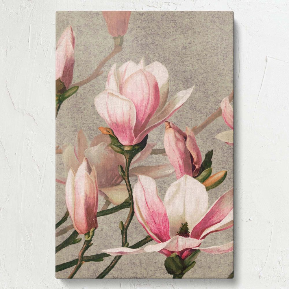 Elegant Magnolia wall art print by L. Prang & Co. (1886), featuring vibrant pink magnolia flowers, green leaves, and a serene textured gray background, offering vintage charm and botanical beauty for classic home and office spaces.