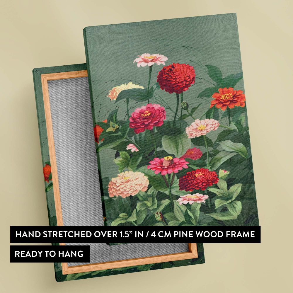 Beautiful reproduction of Flowers 1884 by L. Prang & Co, printed on high-quality canvas and depicting red, pink, and orange zinnias with delicate green leaves, perfect for adding natural beauty and elegance to vintage and botanical-inspired decor.
