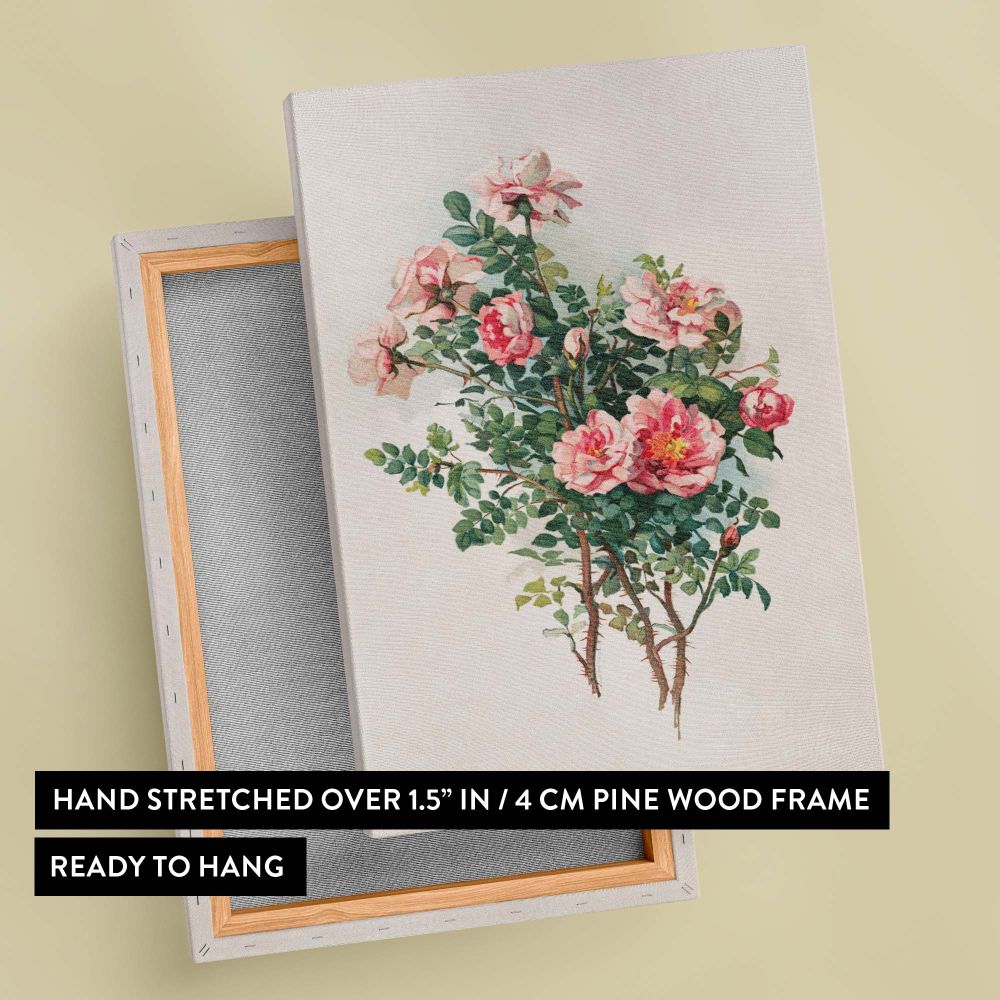 Beautiful wall art canvas of vintage roses from 1870 by L. Prang & Co, showcasing lush pink flowers with soft green foliage, ideal for art lovers or homeowners seeking to create a timeless and elegant botanical atmosphere in their decor.