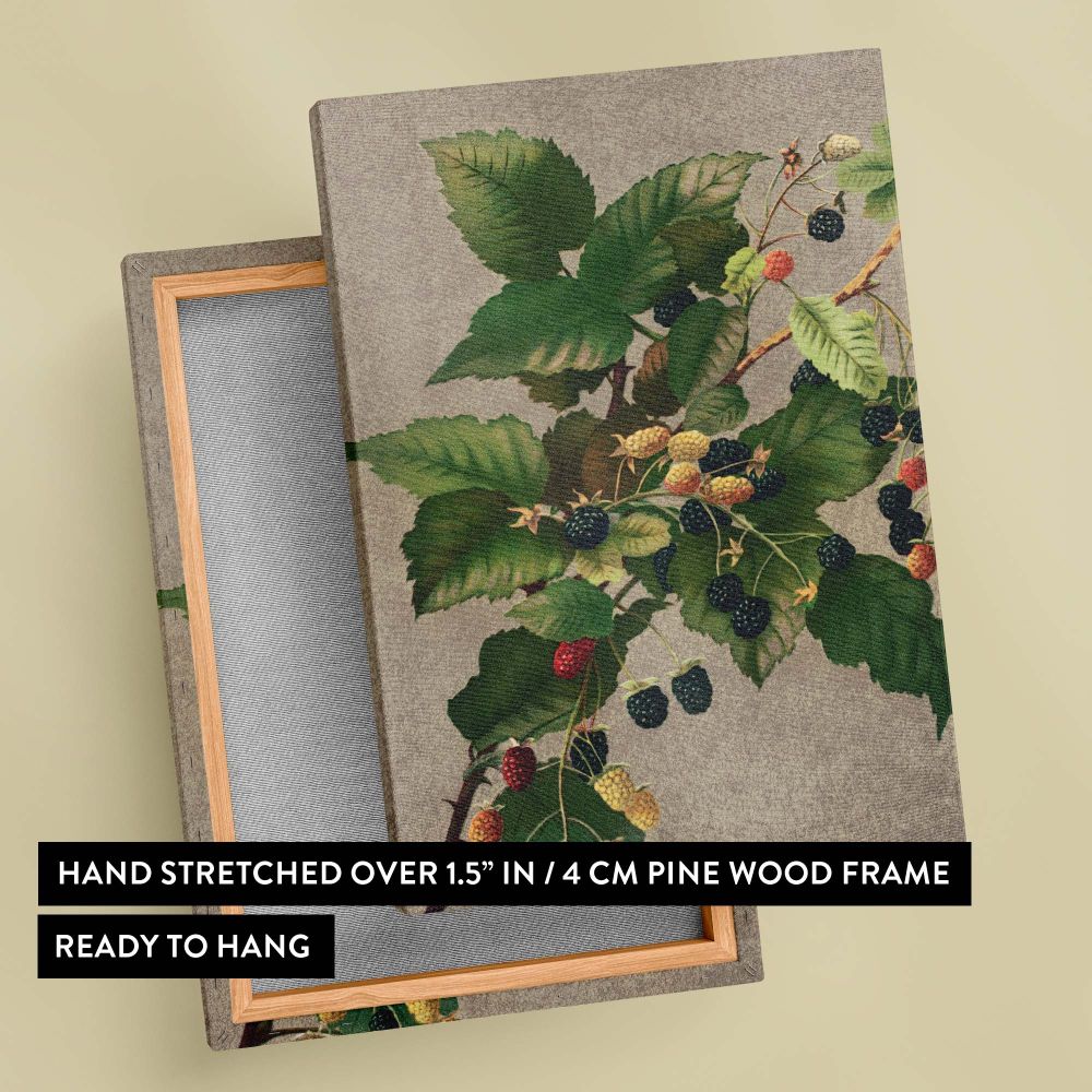 Stunning reproduction of 