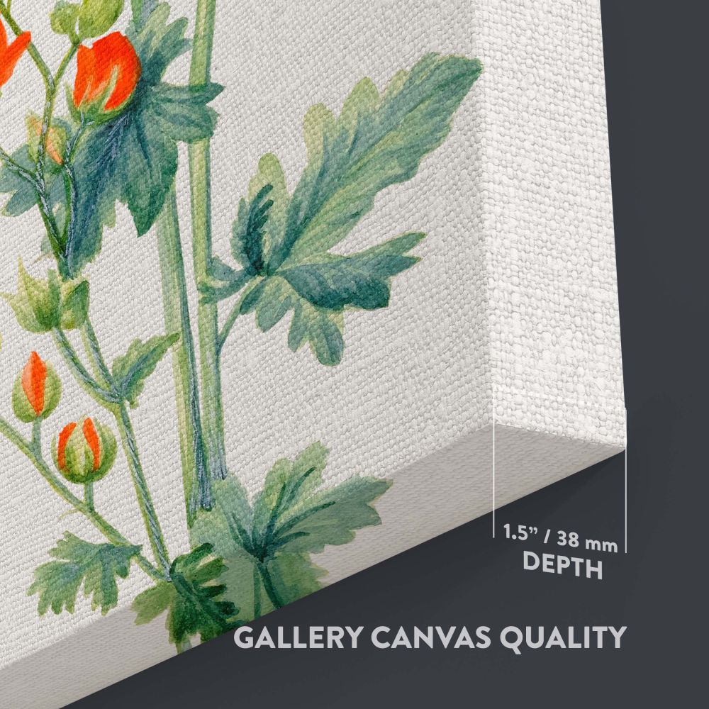 Scarlet Globe Mallow wall canvas featuring Mary Vaux Walcott's 1927 painting, showcasing vibrant orange flowers and realistic green foliage with incredible botanical detail, perfect for adding sophistication and nature-inspired beauty to any room.