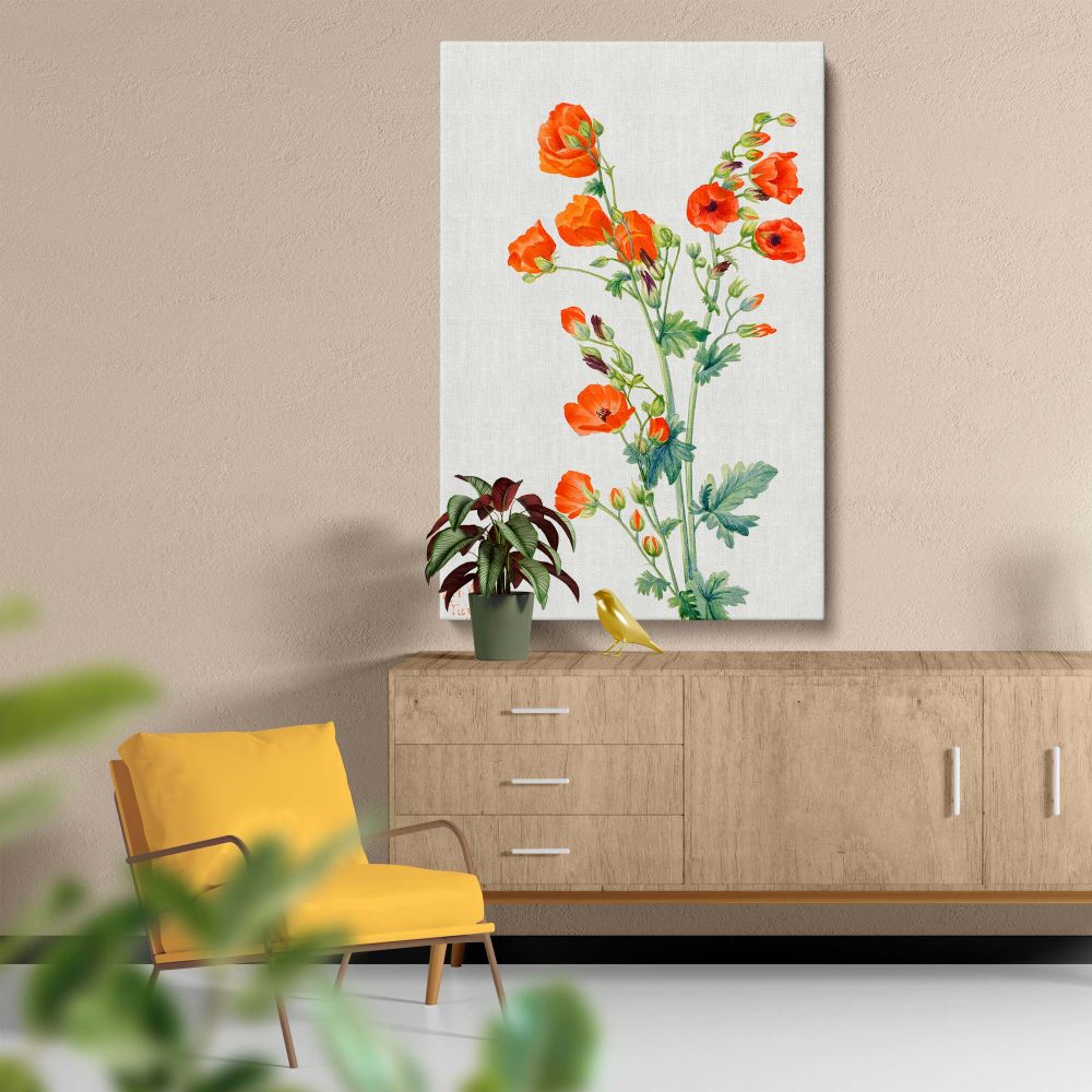 Reproduction of Mary Vaux Walcott's Scarlet Globe Mallow (1927) on a wall canvas, featuring exquisite orange-red flowers and intricate green leaves, bringing timeless botanical art to your space for a serene and elegant ambiance.