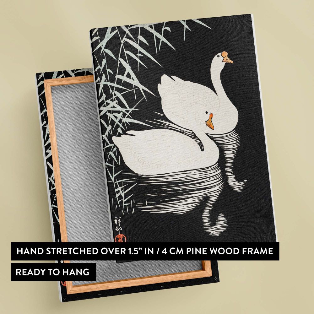 Vintage-style kacho-e print by Ohara Koson featuring two white Chinese geese swimming in rippling water surrounded by elegant reeds, emphasizing the beauty of nature with a stark black background that makes the details stand out.