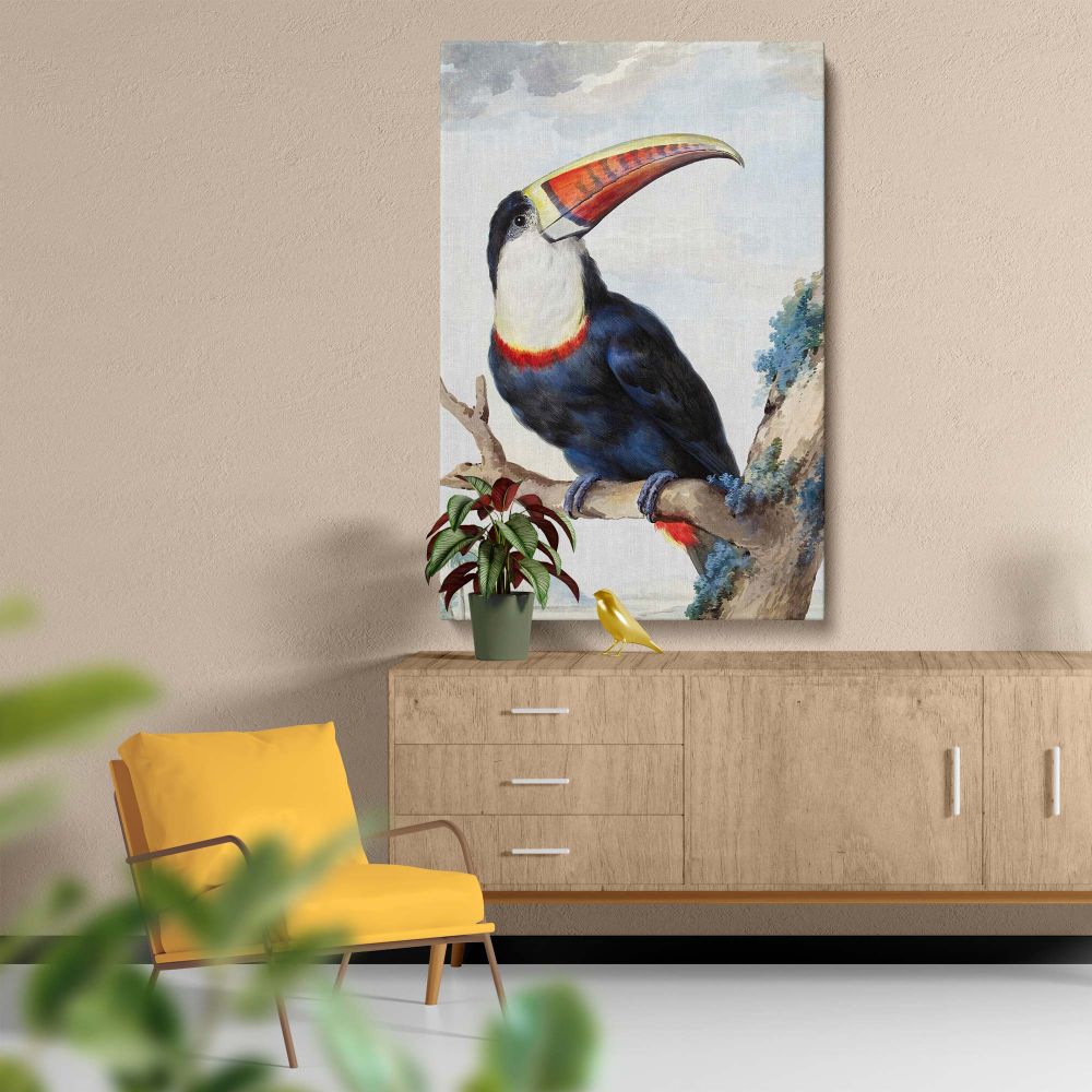 Exquisite decorative wall canvas featuring Aert Schouman's 1748 Red-billed Toucan artwork, masterfully illustrating the toucan's vibrant features and tropical surroundings with remarkable detail and elegance for sophisticated home decor.