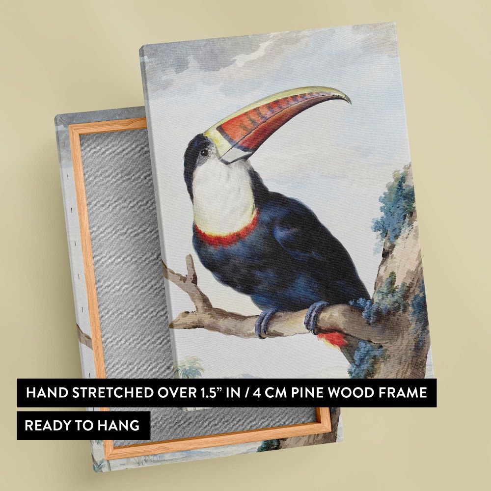 Premium wall art reproduction of Aert Schouman's Red-billed Toucan painting from 1748, celebrating the bird's striking features and the artist's impeccable use of watercolor to create a timeless nature-inspired masterpiece.