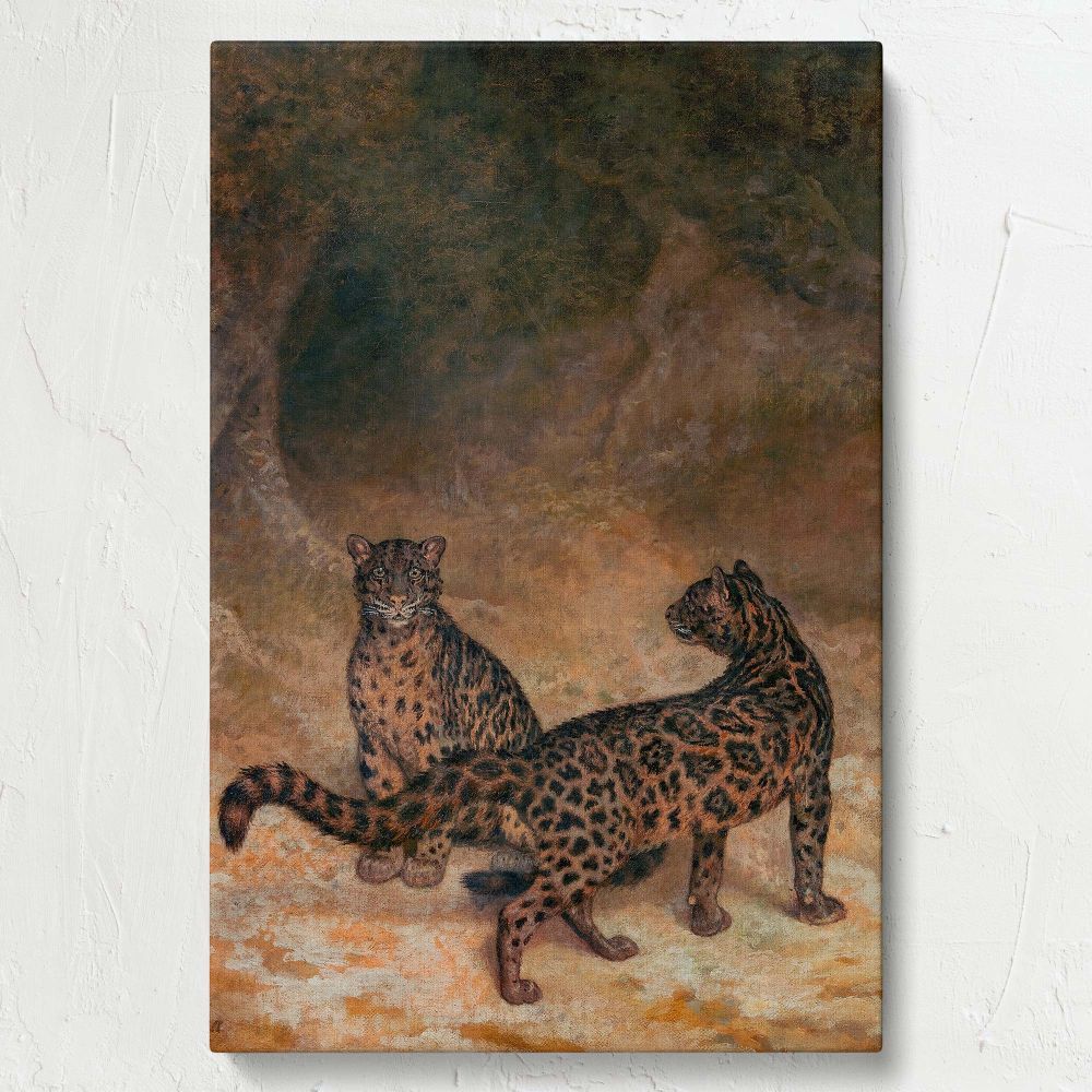 The painting Clouded Leopards by Jacques Laurent Agasse depicts two leopards with exquisite detailing on their fur, standing amidst a peaceful forest, with earthy tones that highlight the serene beauty of their natural environment.