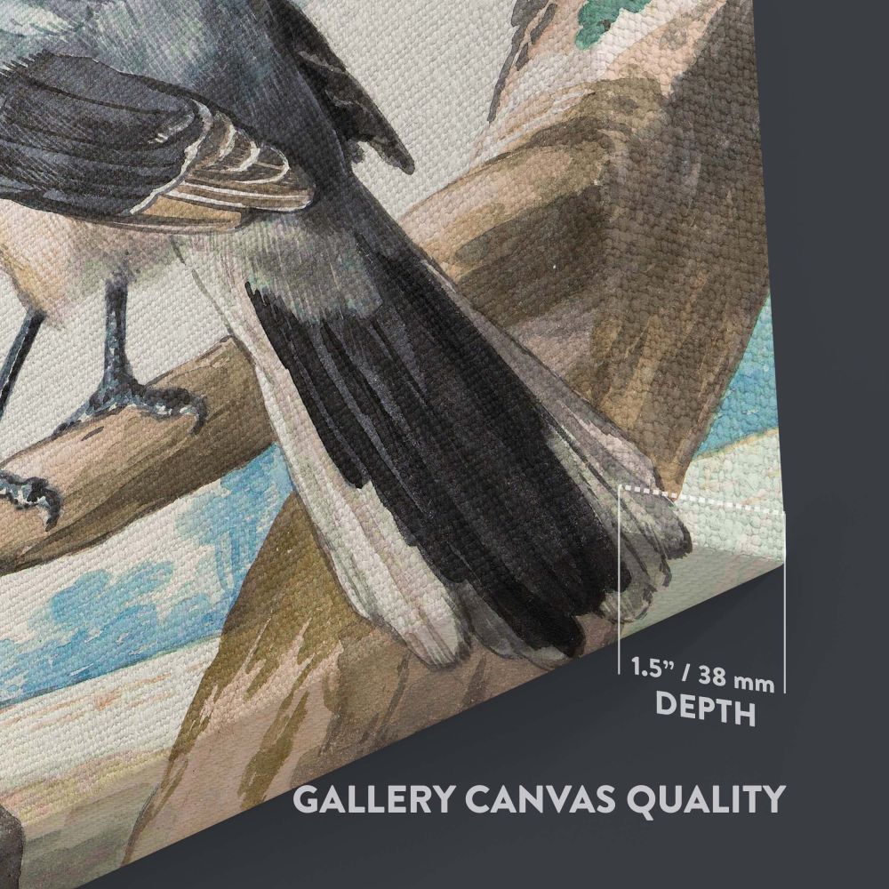 Beautiful canvas art of Three Birds painting from 1756 featuring detailed depictions of a Long-tailed Tit, Blue Tit, and Great Gray Shrike in a serene outdoor setting, ideal for adding a timeless and natural touch to home or office decor.