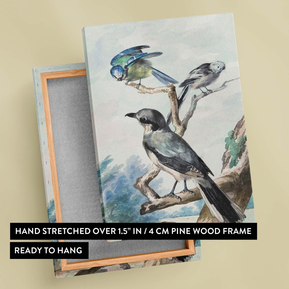 Wildlife art canvas of Three Birds 1756 featuring a Long-tailed Tit, Blue Tit, and Great Gray Shrike perched on delicate branches, offering a timeless nature-inspired decor piece for bird enthusiasts or lovers of historical artwork.