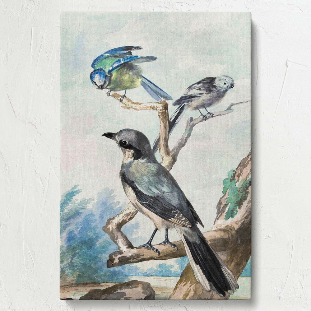 Artistic canvas print of Three Birds from 1756 featuring a Long-tailed Tit, Blue Tit, and Great Shrike with muted natural tones and intricate feather details, creating an elegant centerpiece for any nature-themed home or office decor.