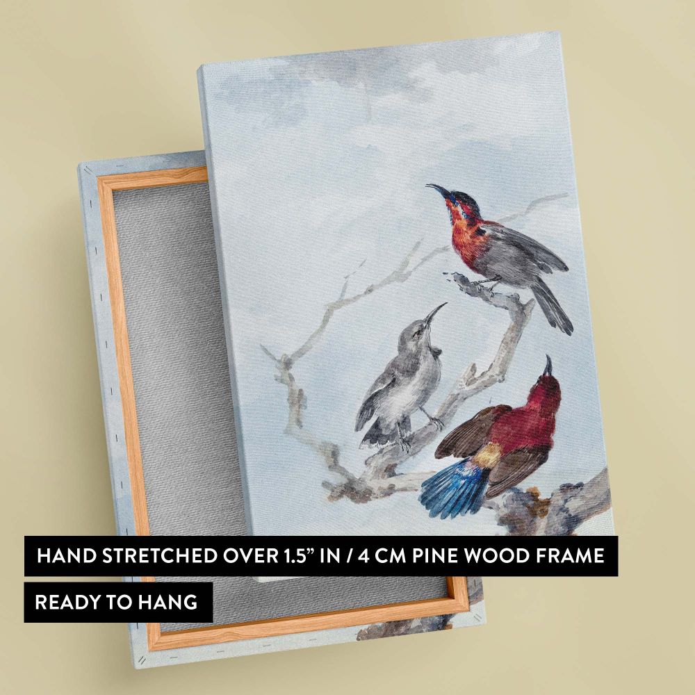 Premium-quality canvas of Three Crimson Sunbirds by Aert Schouman featuring three vibrant birds with intricate details against a soft watercolor background, ideal for creating a calming and artistic centerpiece in bird lover or nature-inspired interiors.