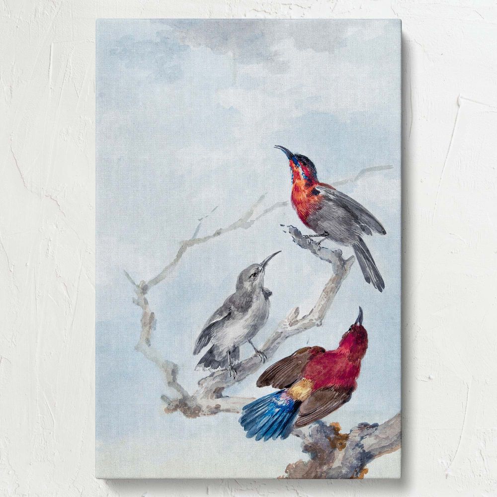 High-resolution canvas of Aert Schouman's Three Crimson Sunbirds painting showcasing three colorful birds perched on delicate branches, perfect for enhancing your home decor with vibrant and elegant nature-inspired art from the 18th century.