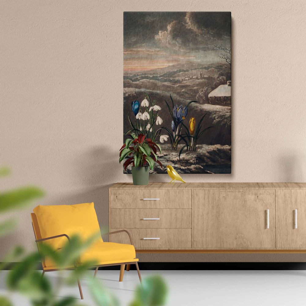 A stunning botanical artwork by Robert John Thornton titled The Snowdrops from The Temple of Flora 1807 with blooming snowdrops and crocuses on a snowy field surrounded by a winter countryside and a quaint cottage under a dramatic evening sky.