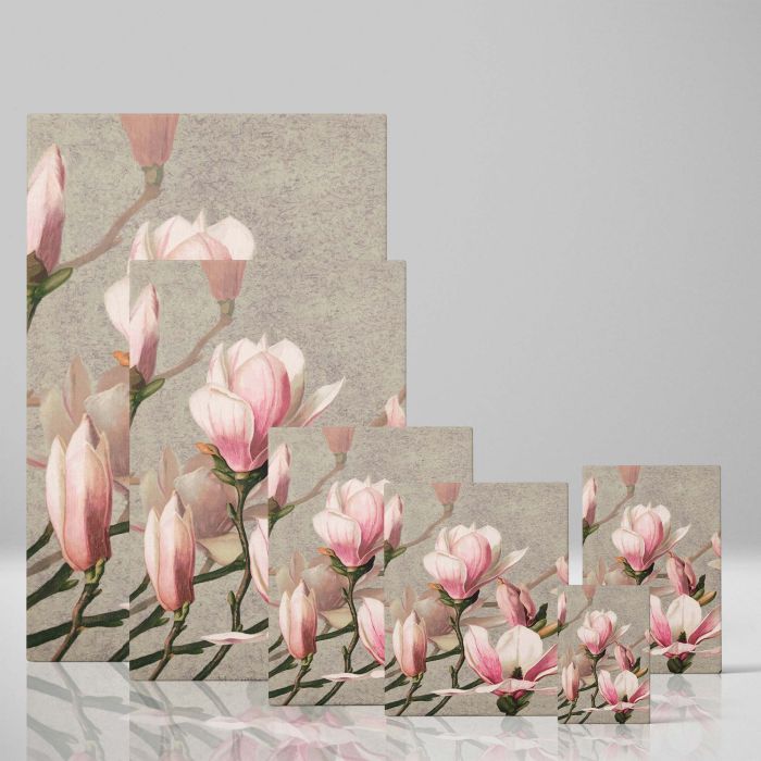 Magnolia - Soft Pink Blossoms on Gray Background By L. Prang & Co. canvas wall art - Image 4