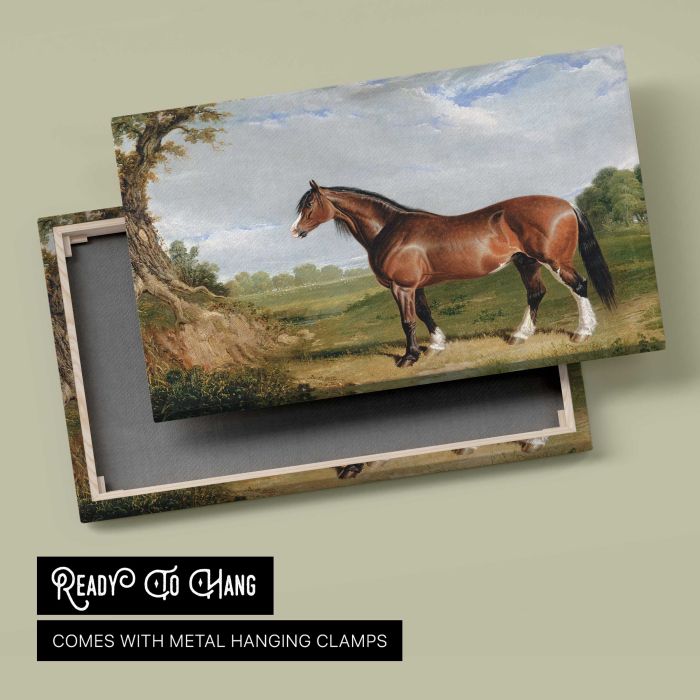 A Clydesdale Stallion (1820) by John Frederick Herring canvas print, canvas reverse and frame view