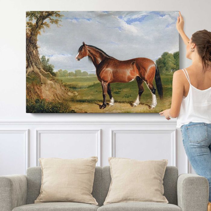 A Clydesdale Stallion (1820) by John Frederick Herring canvas print, canvas shown with a person for scale