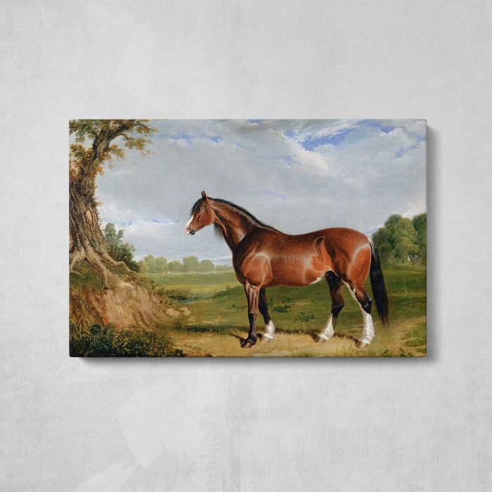 A Clydesdale Stallion (1820) by John Frederick Herring canvas print, front canvas view