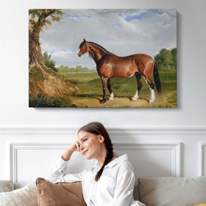 A Clydesdale Stallion (1820) by John Frederick Herring canvas print, interior display view