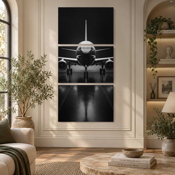 Airliner Aircraft in Monochrome canvas print, interior display view