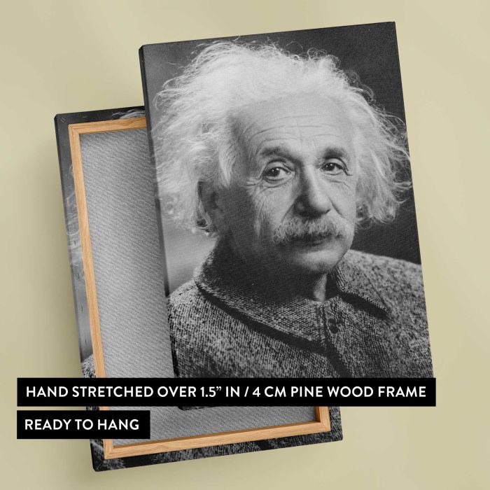 Albert Einstein in Monochrome canvas print, canvas reverse and frame view
