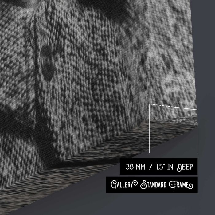 Albert Einstein in Monochrome canvas print, canvas surface and edge detail