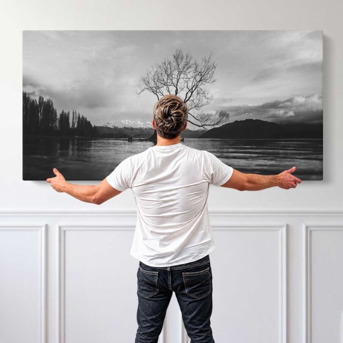 Black and white long shot of The Wanaka Tree in New Zealand with cloudy sky canvas print, canvas shown with a person for scale