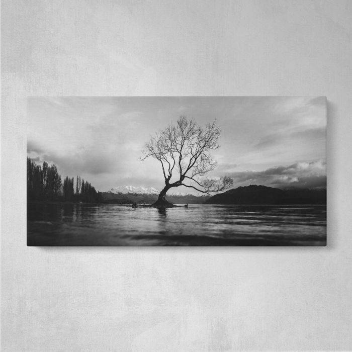 Black and white long shot of The Wanaka Tree in New Zealand with cloudy sky canvas print, front canvas view