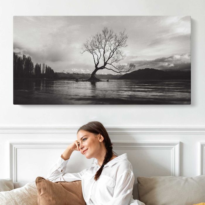 Black and white long shot of The Wanaka Tree in New Zealand with cloudy sky canvas print, interior display view