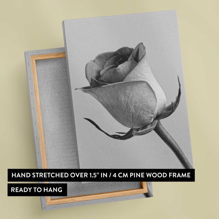 Black and White Rose canvas print, canvas reverse and frame view
