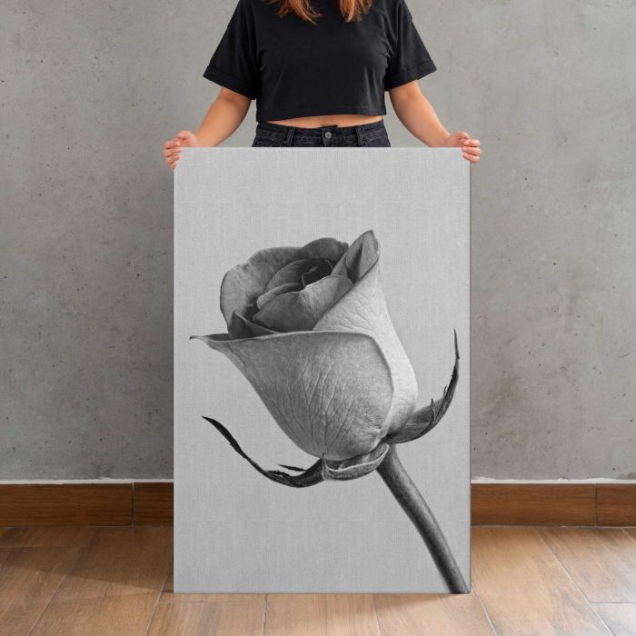 Black and White Rose canvas print, canvas shown with a person for scale