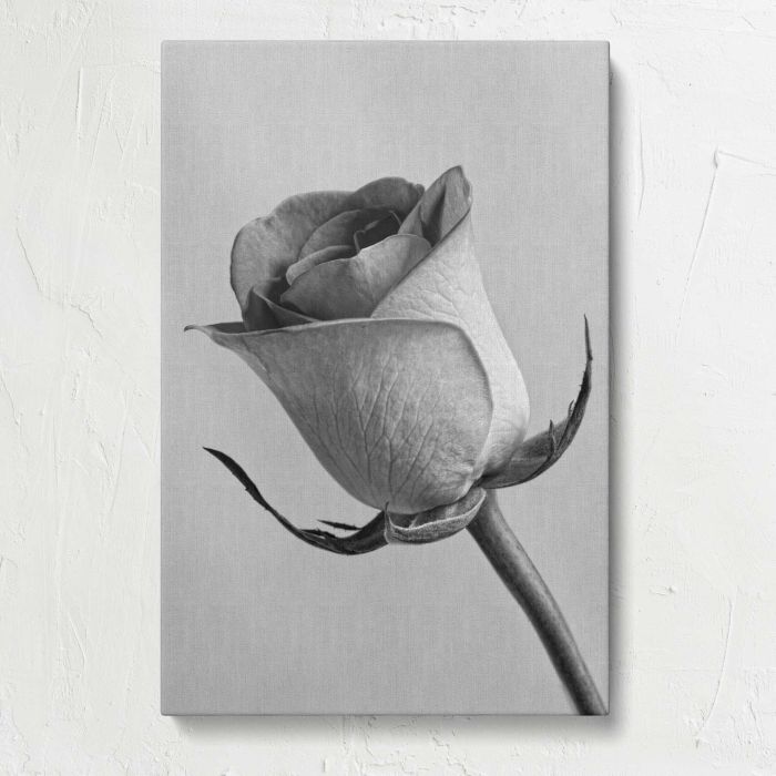 Black and White Rose canvas print, front canvas view