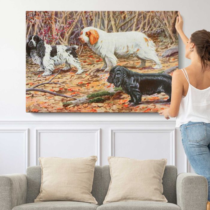 Cocker, Clumber and Field Spaniels (1919) by Louis Agassiz Fuertes canvas print, canvas shown with a person for scale