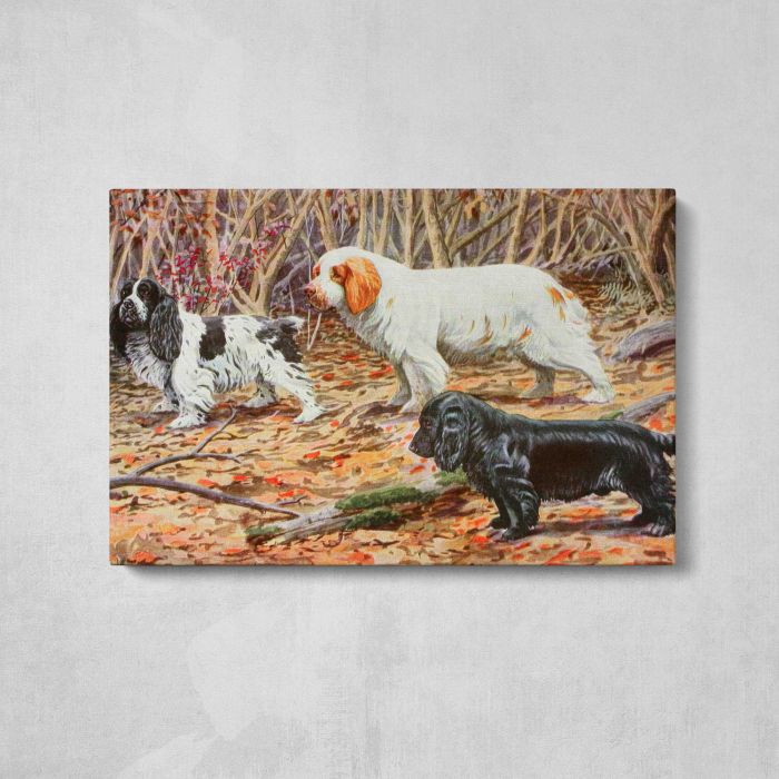 Cocker, Clumber and Field Spaniels (1919) by Louis Agassiz Fuertes canvas print, front canvas view