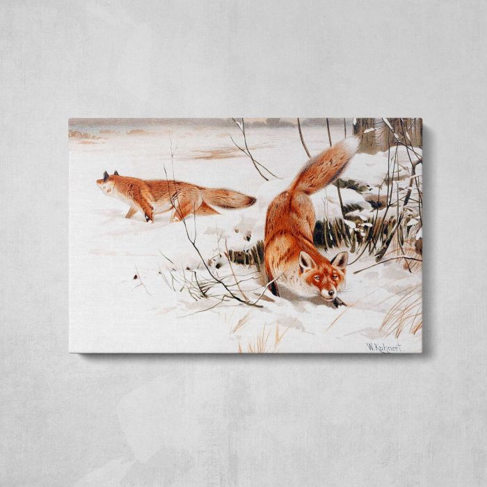 Common Foxes in the Snow (1893) by Wilhelm Kuhnert canvas print, front canvas view