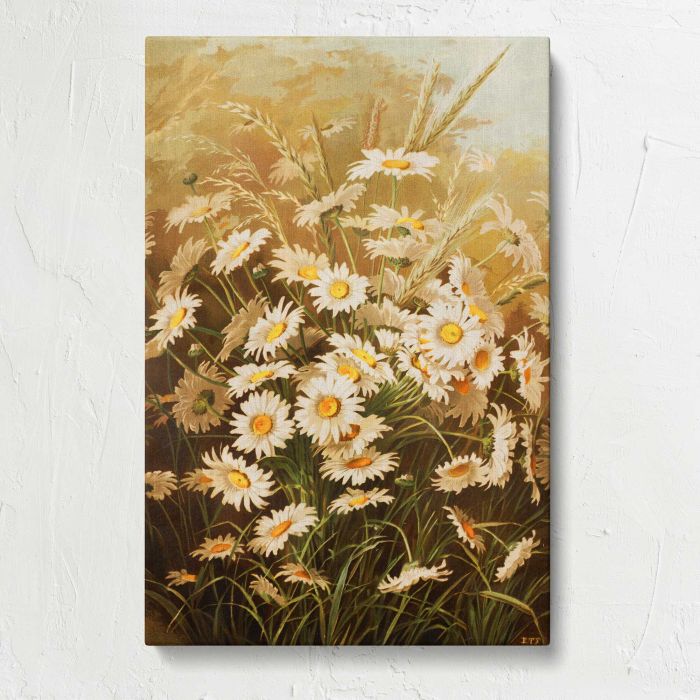 Daisies by Ellen Thayer Fisher canvas print, front canvas view