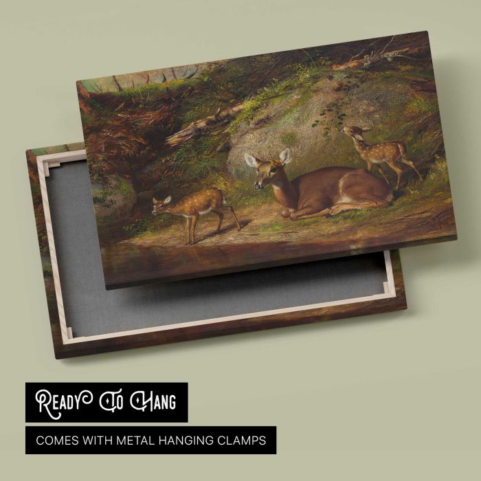 Doe and Two Fawns canvas print, canvas reverse and frame view