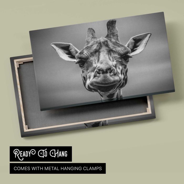 Giraffe in Monotone canvas print, canvas reverse and frame view