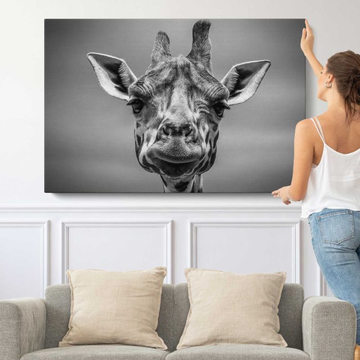 Giraffe in Monotone canvas print, canvas shown with a person for scale