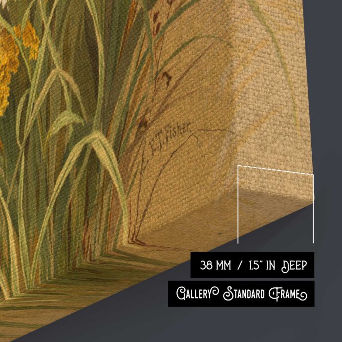 Hemlock, ox-eye grasses and golden rod by Ellen Thayer Fisher canvas print, canvas surface and edge detail