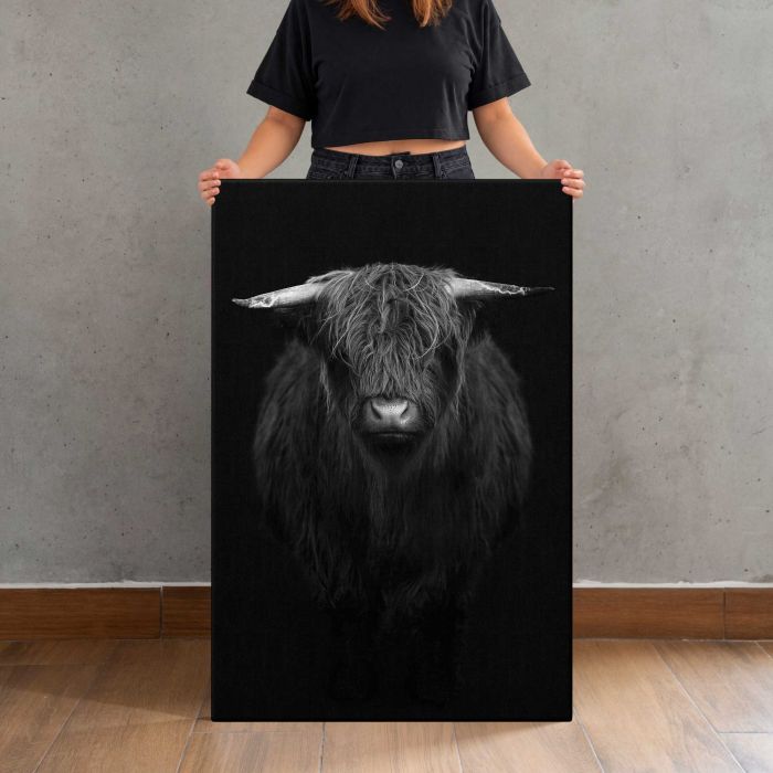 Highland Calf in Black and White canvas print, canvas shown with a person for scale