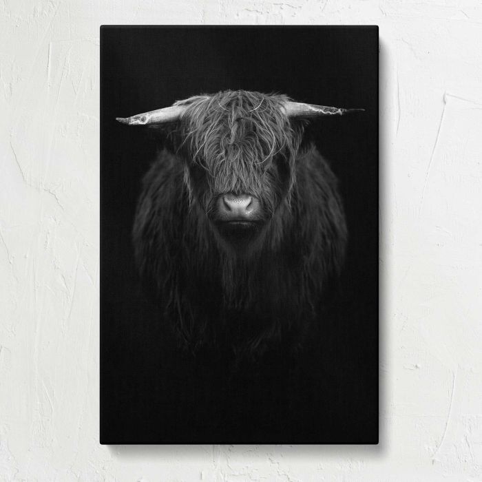 Highland Calf in Black and White canvas print, front canvas view