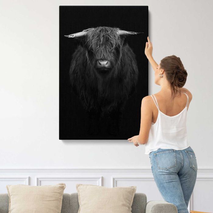 Highland Calf in Black and White canvas print, interior display view